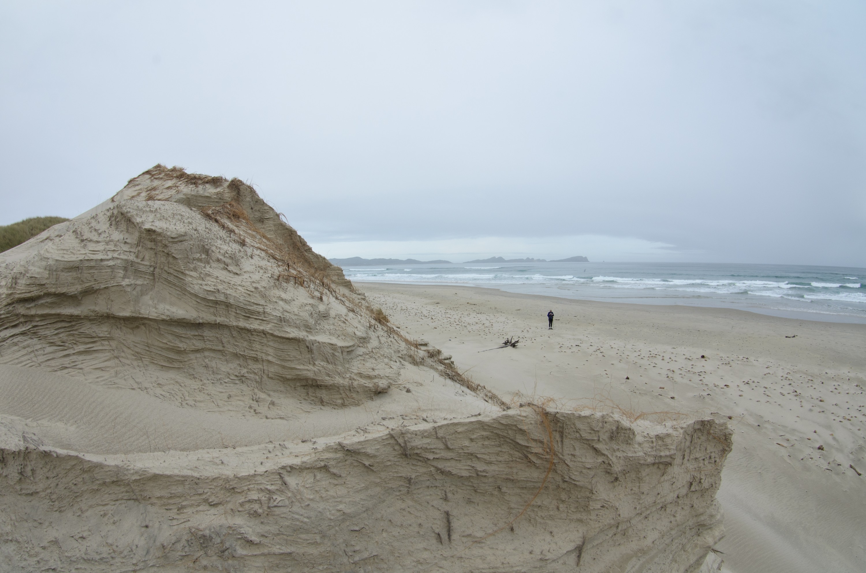 DSC_2003 – Adventure, Bay, Crispin, Island, March 2017, Mason, Mason Bay, National Park, New, New Zealand, Rakiura, South, Stewart, Zealand